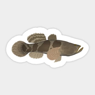 Marble Goby Sticker